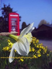 A Photographer's Diary, Village Life