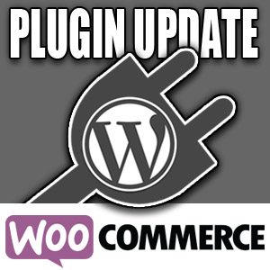 WC-Plugin-Update-300x300