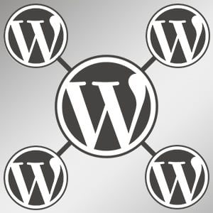 What is WordPress Multisite?